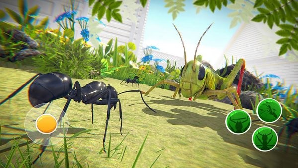 荒野蚂蚁模拟