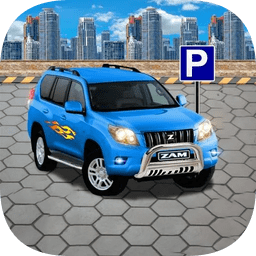 真实停车场模拟器