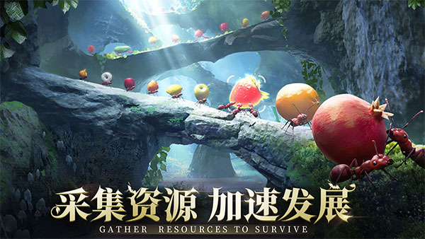 小小蚁国国际服 小小蚁国国际服