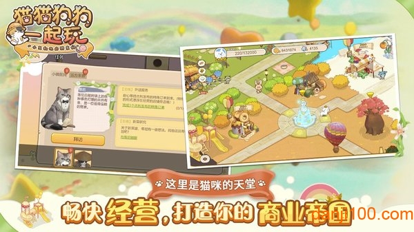 猫猫狗狗一起玩