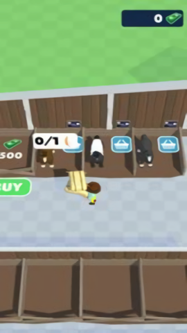 马厩生活游戏最新版