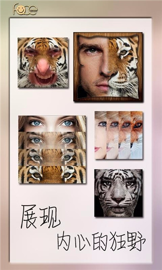 动物变形竞赛 动物变形竞赛