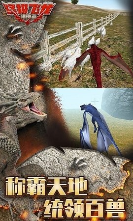 终极飞龙模拟器 终极飞龙模拟器