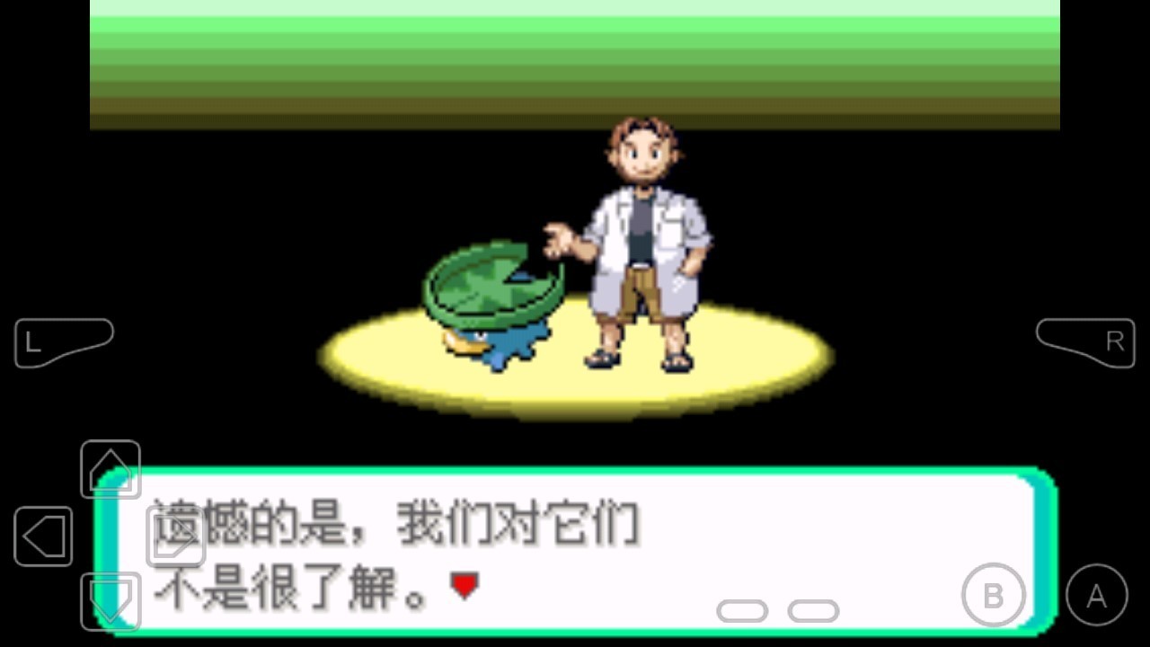 ����鿴��ͼ