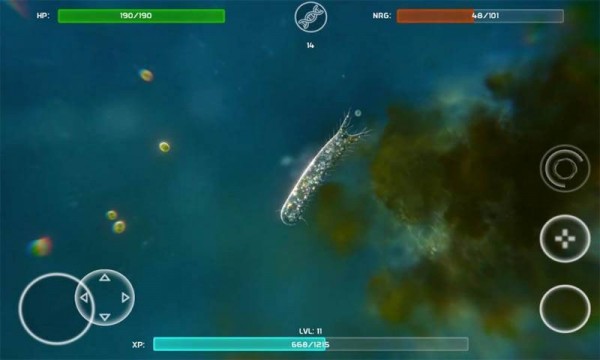 孢子进化论3 最新版