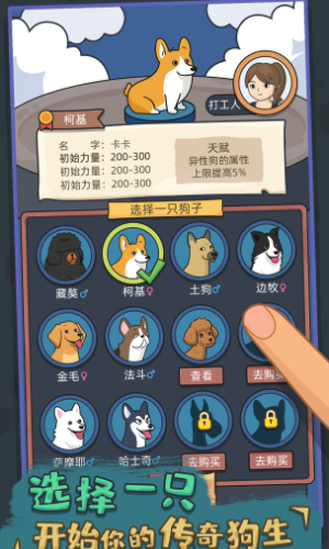 狗生模拟器最新版