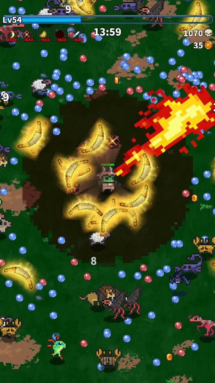 ����鿴��ͼ