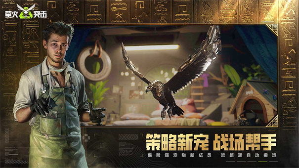 迷失的光安装器