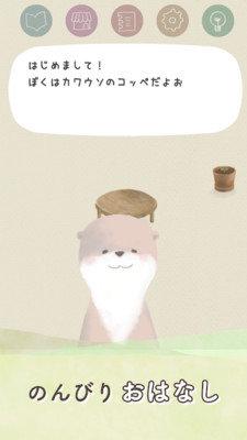 我家的宠物鼠 我家的宠物鼠