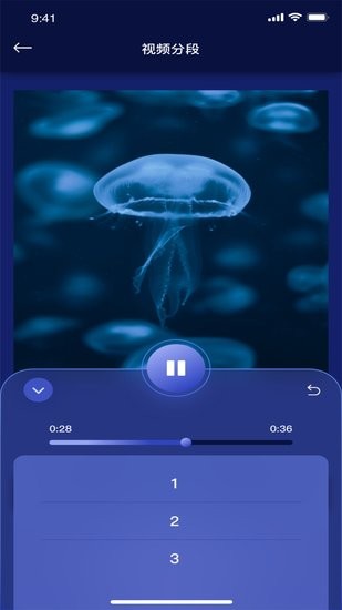 小甜瓜编辑视频 小甜瓜编辑视频