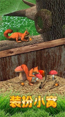 真实宠物大冒险 真实宠物大冒险