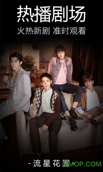 百度视频雷达电脑版