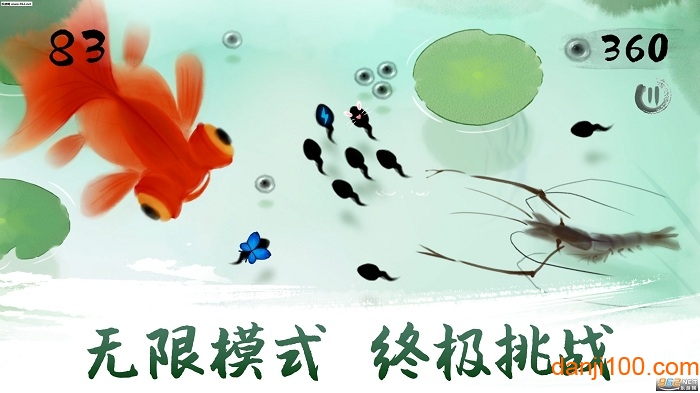 蝌蚪逃亡记 蝌蚪逃亡记