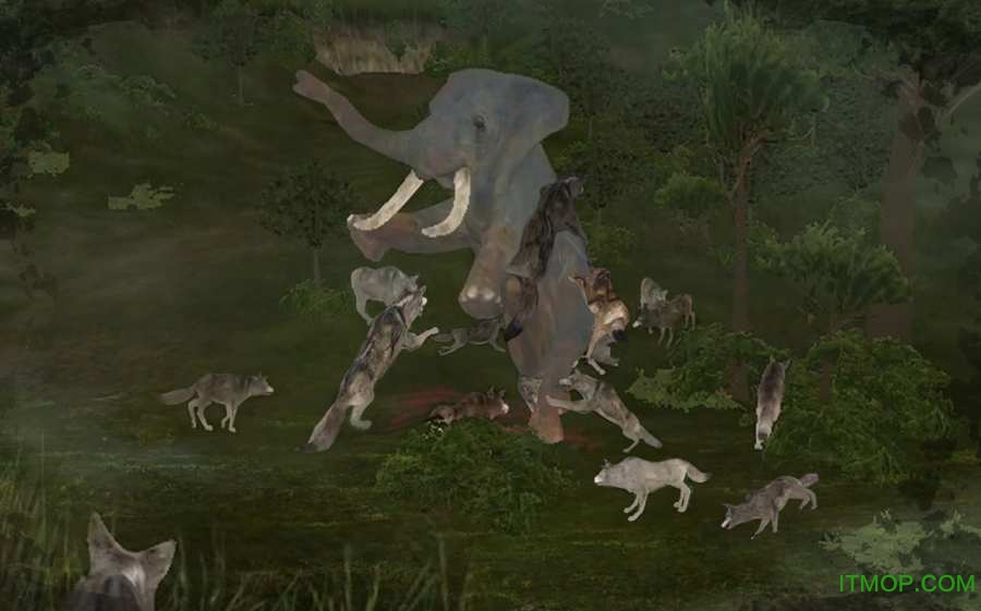 丛林法则中文手游Wild Animals Online