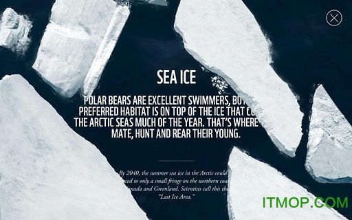 WWF Togethe(野生动物折纸)