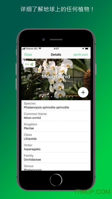 PlantSnap辨认植物花卉树木软件