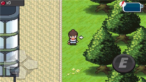 �ڴ����ֳ�������������