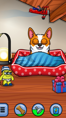 冲吧柯基 冲吧柯基