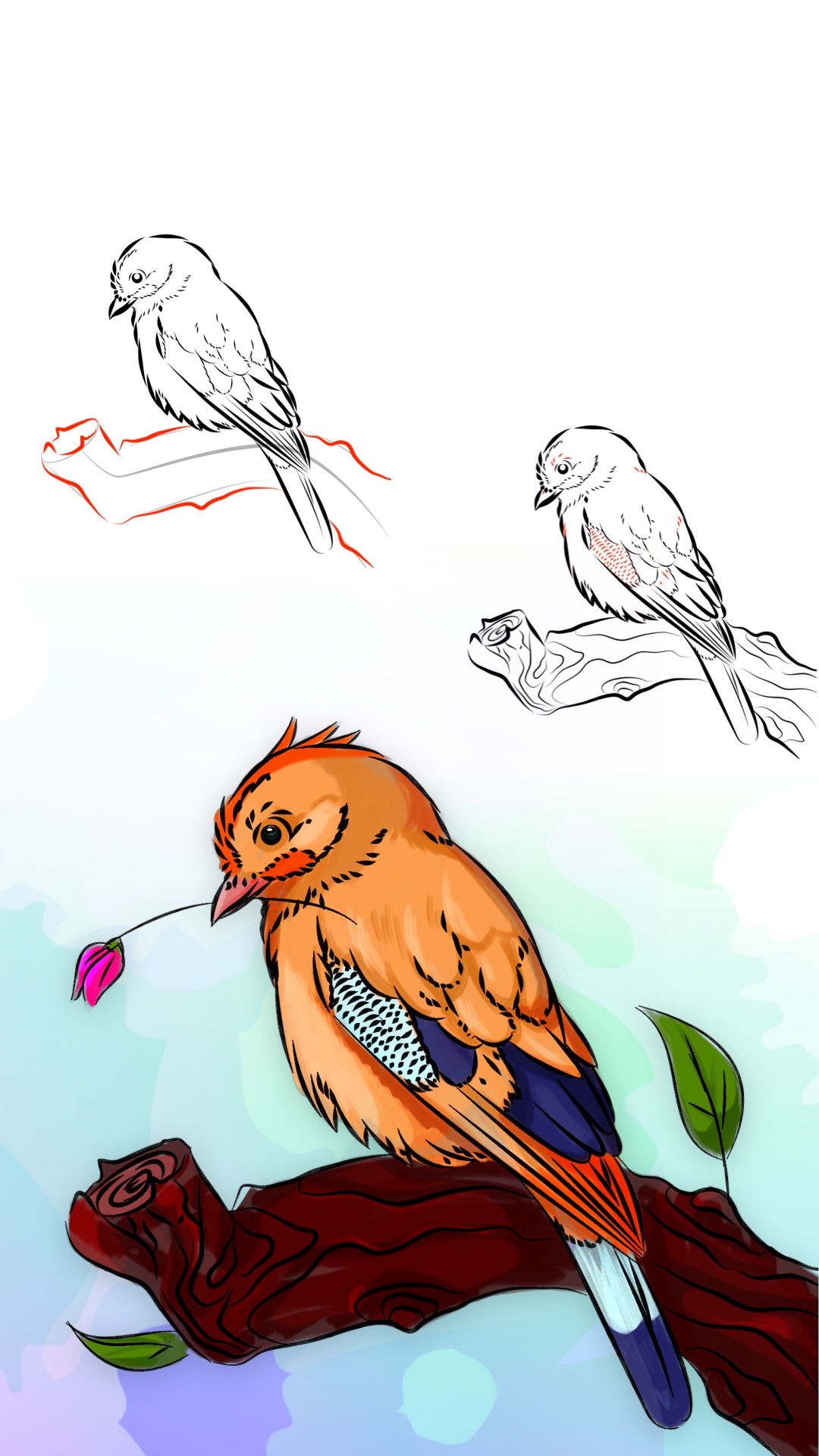 my sketchbook手机版