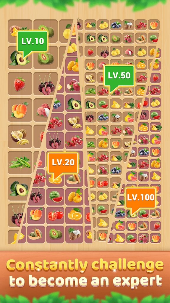 Wood Connect(木块连接拼图) Wood Connect(木块连接拼图)