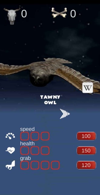 Owl Hunting Journey(猫头鹰狩猎之旅)