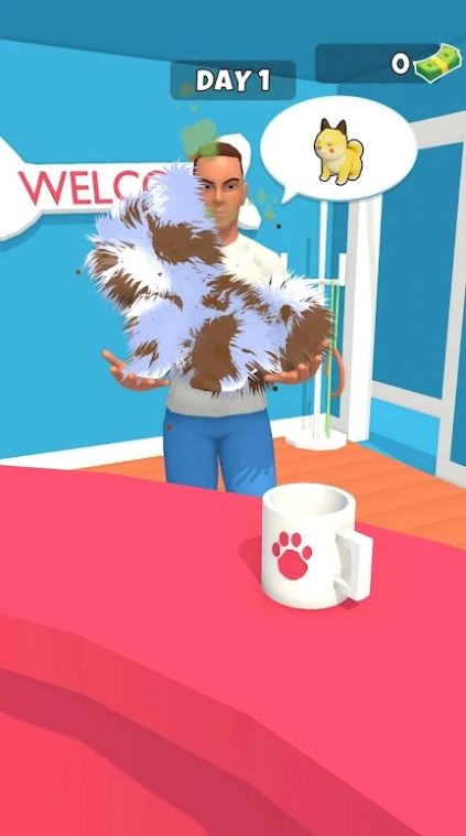 宠物改造Pet Makeover