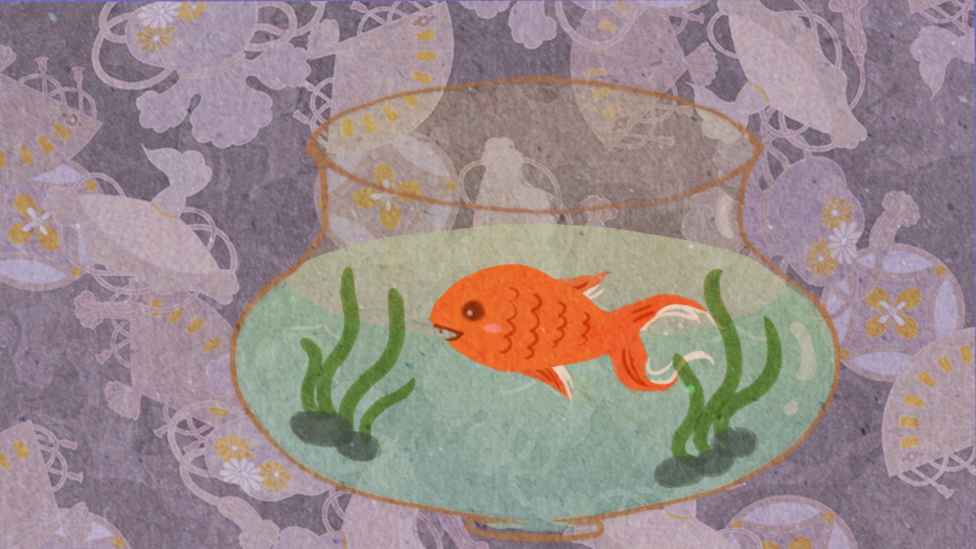 yuuufeedingplan(鱼悠悠养成计划)