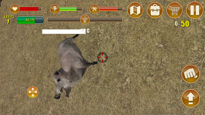 孤岛生存：沙漠求生