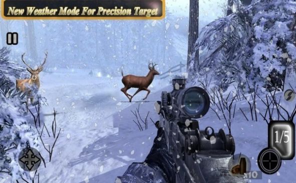 Sniper Animal Shooting 3D(动物终极猎人)