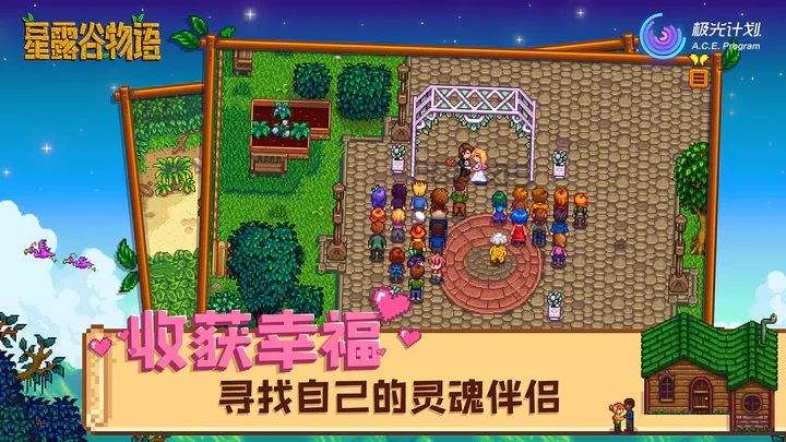 星露谷物语手机版中文版下载(Stardew Valley)