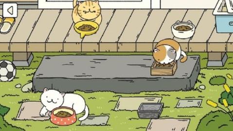 小可爱的家(AdorableHome)