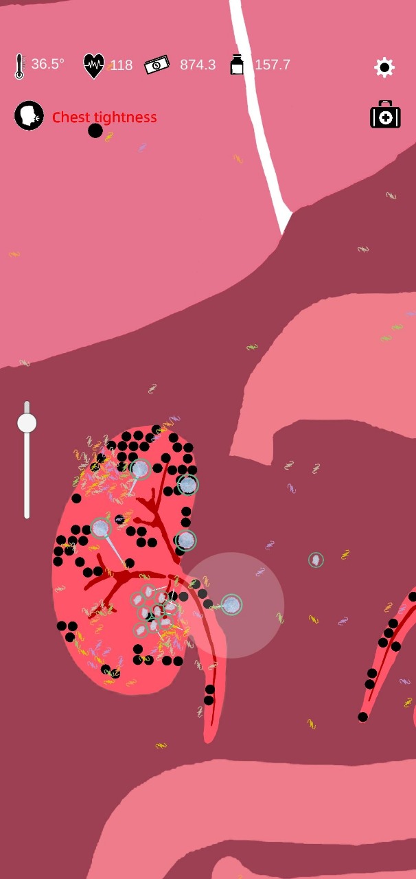 ����鿴��ͼ