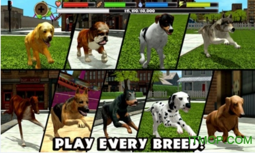 流浪狗模拟器中文版