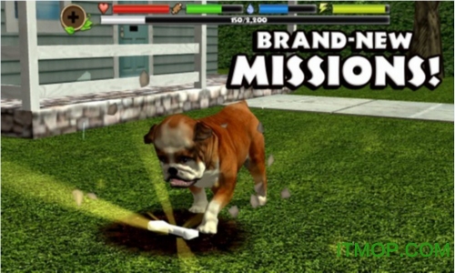 流浪狗模拟器中文版