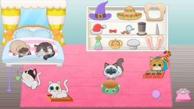 猫咪的生活 猫咪的生活