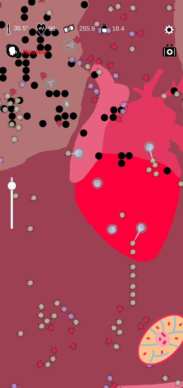 ����鿴��ͼ