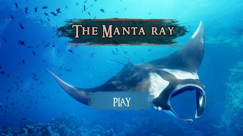 蝠鲼模拟器(the manta rays)