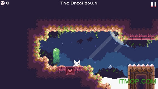 飞天萌猫(Cat Bird)