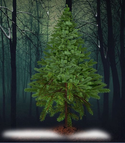 HolyNight3(圣夜3手机版)