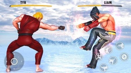 功夫街战斗英雄(Clash of Fighters)