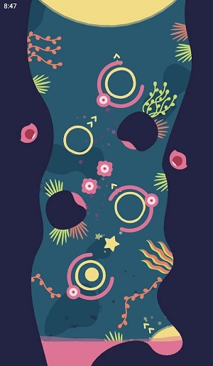 极性蝌蚪 极性蝌蚪