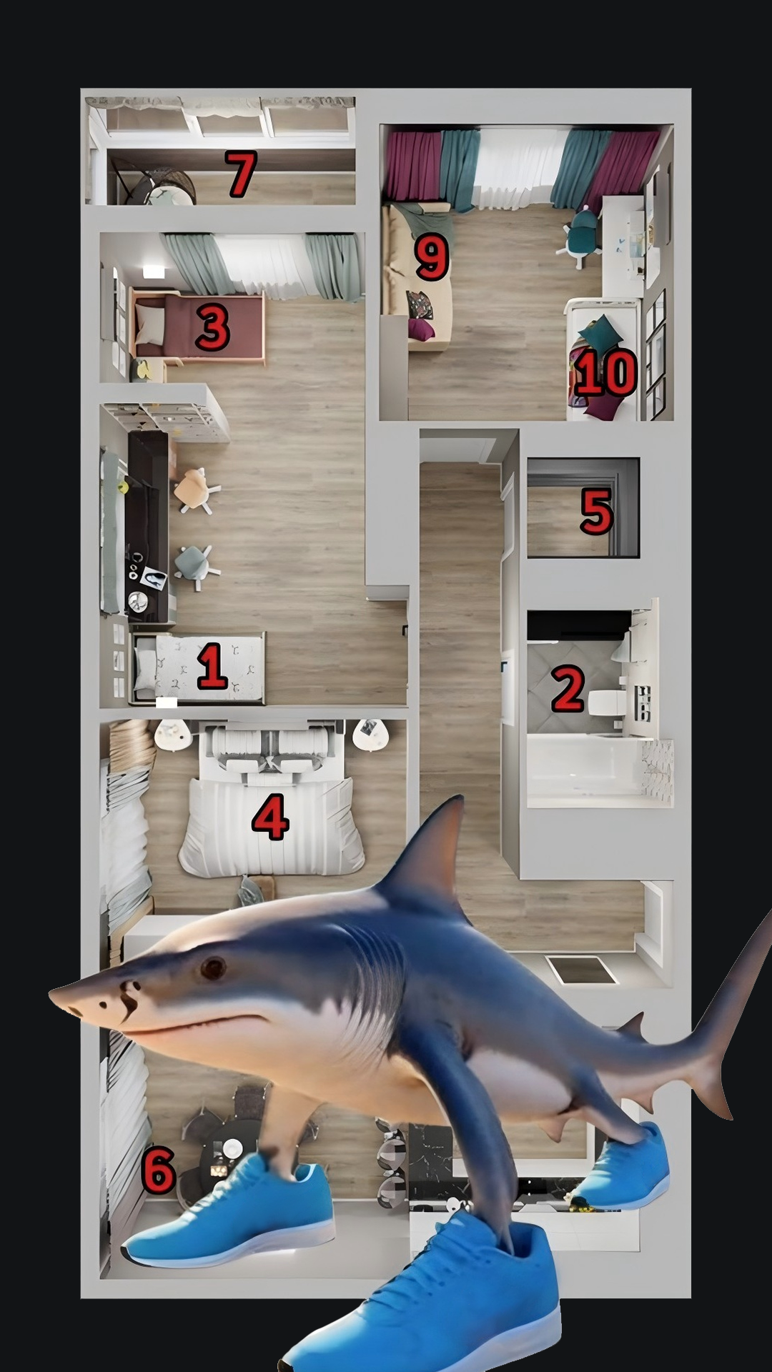 大家一起躲猫猫