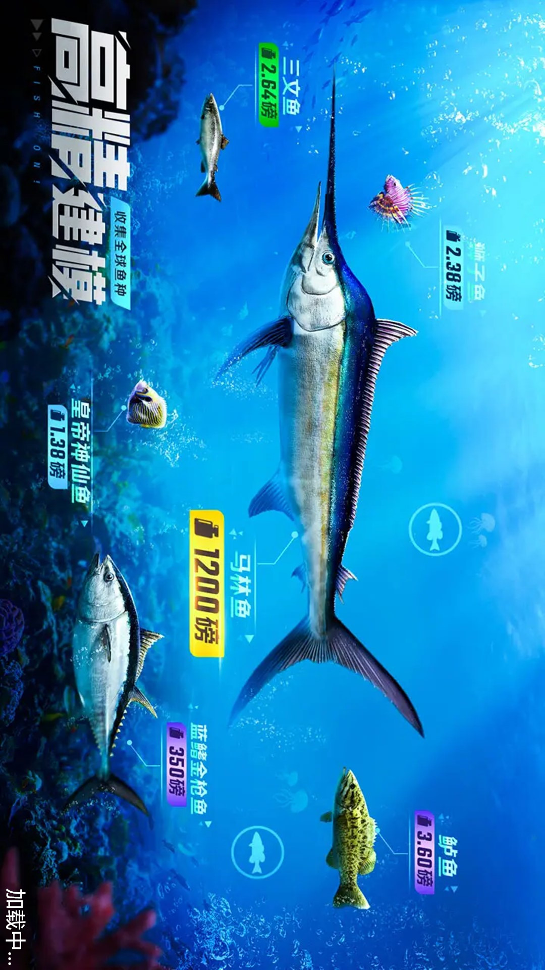 ����鿴��ͼ