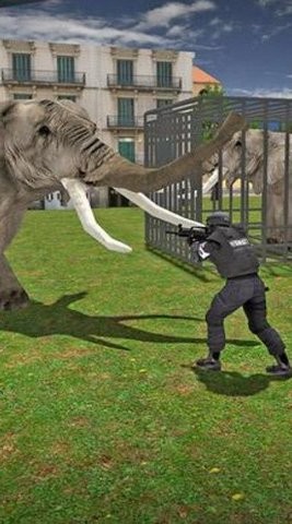 大象城市横冲直撞 大象城市横冲直撞