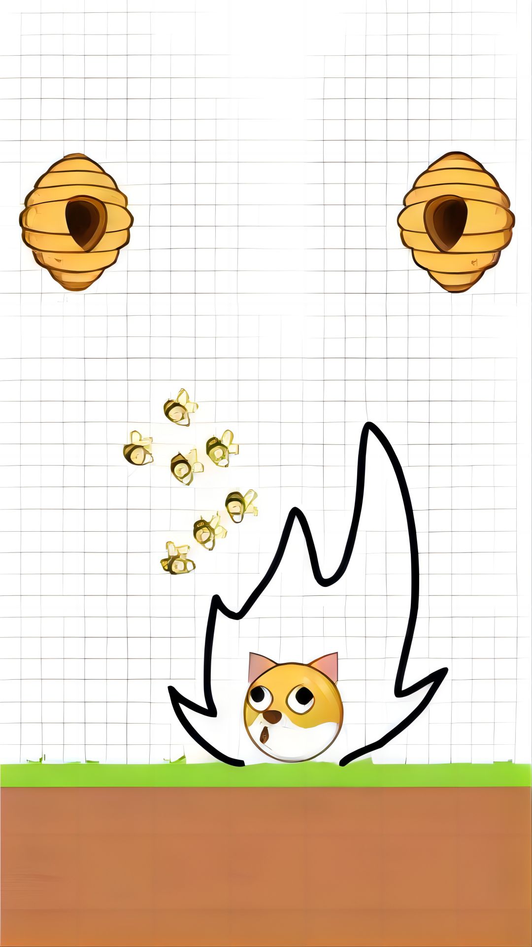 ����鿴��ͼ