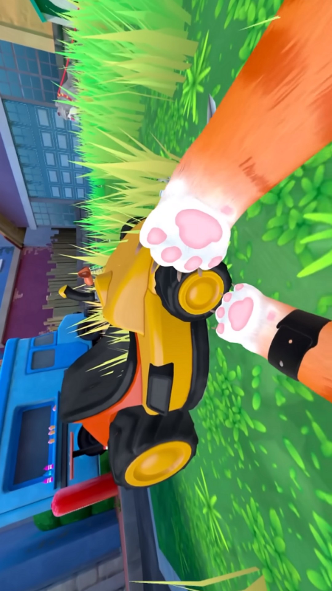 疯狂躲猫猫 疯狂躲猫猫