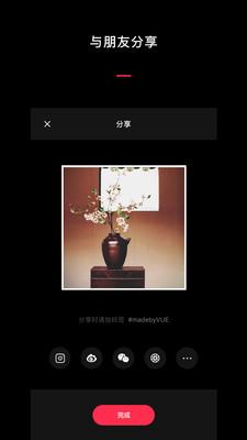 VUE视频美化工具下载