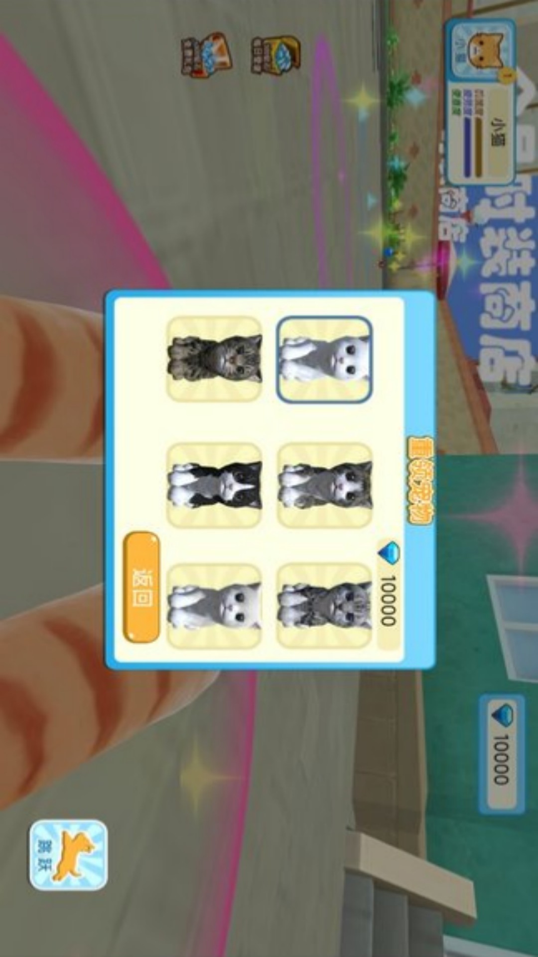 ���������