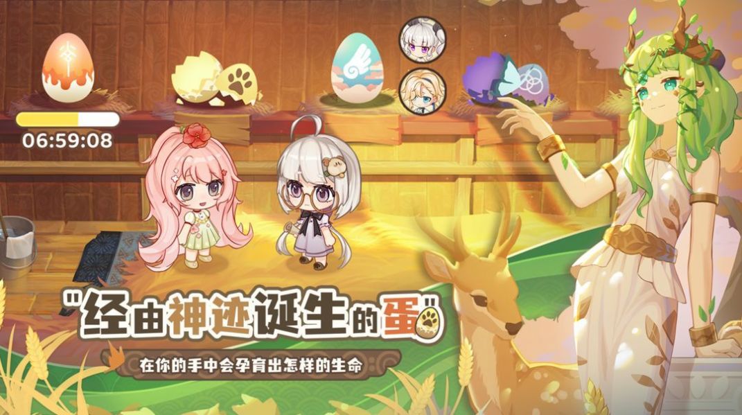 ����鿴��ͼ