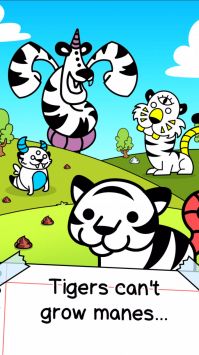老虎进化Tiger Evolution 老虎进化Tiger Evolution